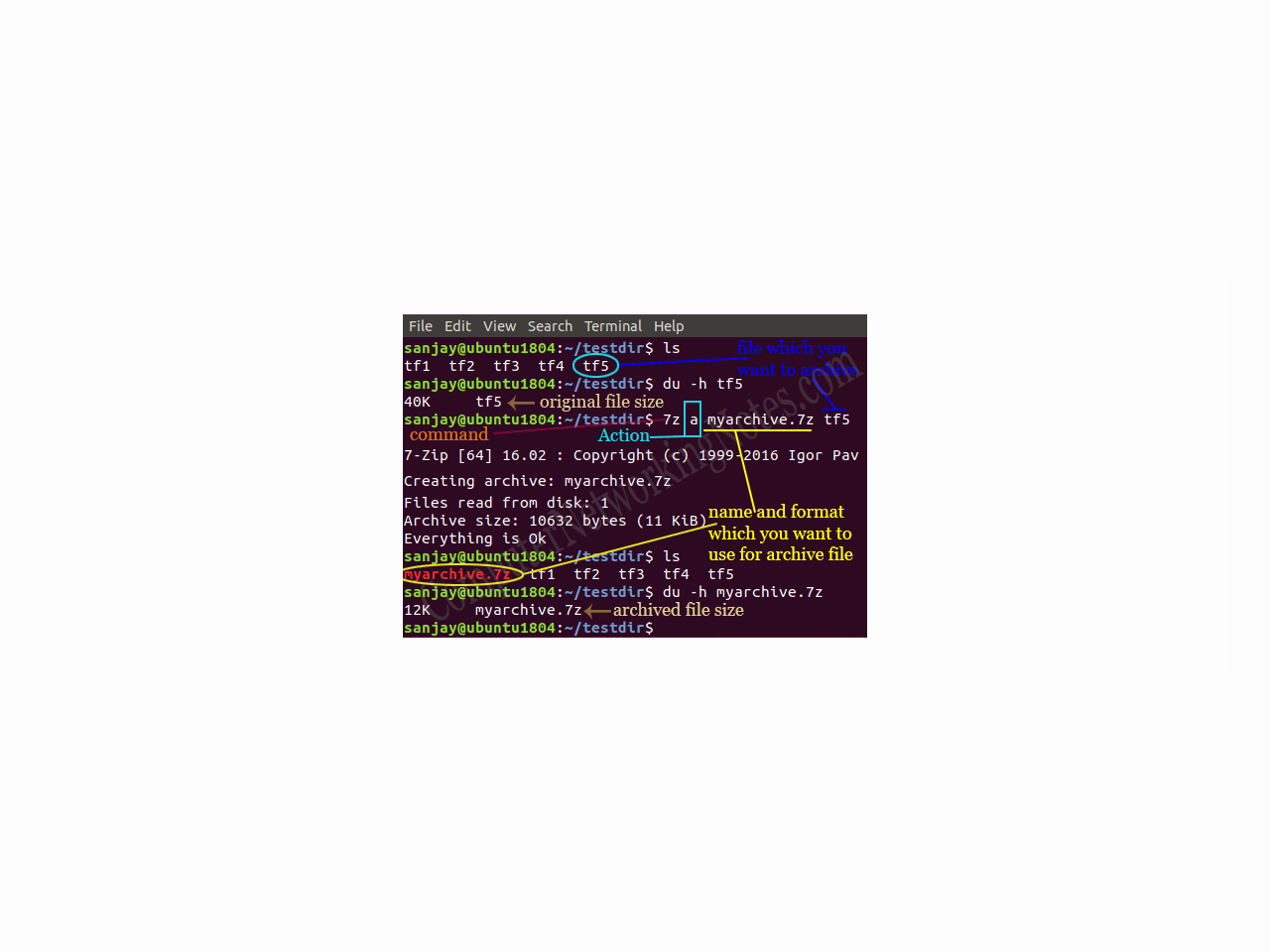 Install Dmg File In Ubuntu